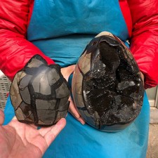 14.76LB Natural Turtle Back Stone Hole Shape Dragon Crystal Crack Reiki Healing picture
