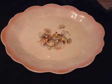 Antique 1903 Ironstone Pottery Platter The Colonial Co. Gooseberry & Floral USA picture