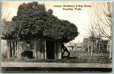 Pioneer Residence and Hop House Puyallup Washington WA UNP DB Postcard D14 picture