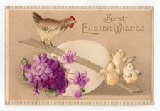 c1900s  - Cute Heavily Embossed Easter Chicken and Baby Chicks Postcard -  XL4E picture
