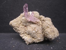 Amethyst Scepter Ccrystal Cluster, Bombori Mine, Bolivia #10 picture