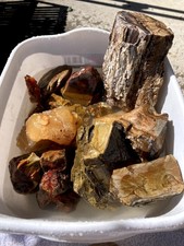 Saddle Mt Petrified Wood Dark Red Carnelian Jasper 18lbs Limb Cast Drewsey picture