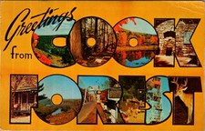 COOK FOREST Large Letter Postcard 1964 Clarion River PA Chrome Era Deer Tower picture