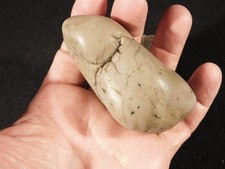 Lot of THREE Larger DINOSAUR Gastrolith or STOMACH Stones Jurassic Utah 474gr picture