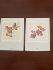 Vtg Set 2 Swissair Menu June 1985 MINT Switzerland to N America Business Class picture