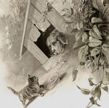 1880s-90s French Cards Animals Cat Dog Puppy Horse Lot Of 4 #7R picture