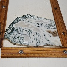 Green Tree agate Slab India great color and pattern 5 7/8