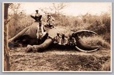 Original VTG Photo Photograph Hunters Africa Elephant Hunting Dead R3 picture