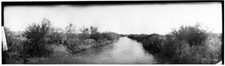 bushes along an irrigation ditch in the Imperial Valley California - Old Photo picture