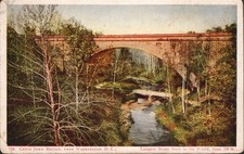 Cabin John Bridge Washington DC Foster & Reynolds Undivided Back Postcard c1898 picture