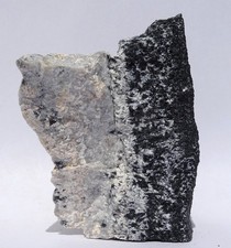 Choice SZAIBELYITE, LUDWIGITE, MAGNETITE--Blind Mtn prosp, Nevada--Coll 6-9-2003 picture
