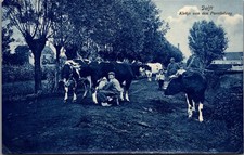 Antique Delft Netherlands Parellelweg Farming Rural Scene Postcard picture
