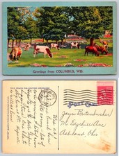Greetings from Columbus Wisconsin Large Letter Cows Postcard picture