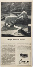 1946 Ansco Camera Film Polar Bears Original Print Ad Life Magazine 40s picture