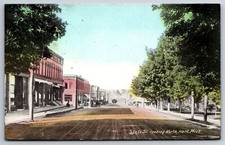 Hart Michigan~State Street Looks North Hay Wagon~Lester's Store~Park~1909 PC picture