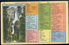 1939 Yosemite Falls Too Busy to Write Person's Correspondence Postcard A1211 picture