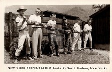 Serpentarium Huge Snake Roadside Attraction North Hudson NY RPPC Photo COPY picture