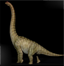 Nanmu Studio Brachiosaurus Dinosaur Collectibles Figurine Animal Model New Stock picture