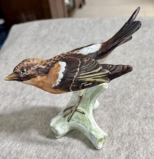 Goebel Bergfink Brambling Pinson Porcelain Bird Figurine W. Germany  1967 picture