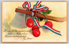 Washington Birthday George Hatchet Cherries Patriotic 1908 picture