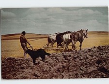 Postcard The Honyocker picture