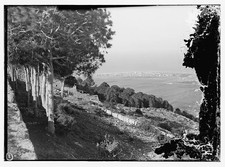Photo:Haifa Mt Carmel Palestine 1900s View from Mountain picture
