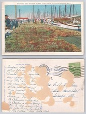 Vintage Tarpon Springs FL Sponge Fleet Harbor Postcard Gibble's Posted 1920s-30s picture