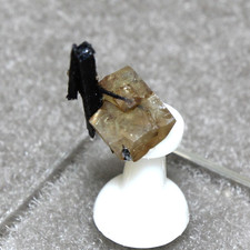 Leucophanite/Aegirine crystals from Mont Saint-Hilaire Quebec #4597 picture