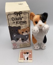 Crazy Kitten CALLIE Calico Cat Plushie 6