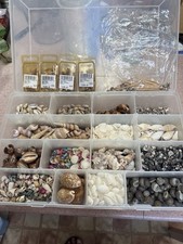 Vintage Seashell Assortment Buy-Urchin Spine -Auger -Other Shells -Preowned  picture