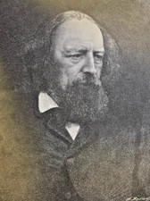 1883 Poet Alfred Lord Tennyson illustrated picture
