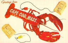 1975 Cape Cod MA Lobster Postcard Dexter Press Slate Co Chrome Unposted picture