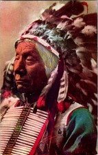 Vintage Postcard Red Cloud Lakota: Mahpíya Luta Oglala Lakota              C-429 picture
