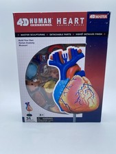 Tedco Toys 26052 4-D Anatomy Heart Model picture