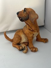 Country Artists a Breed Apart - Large Bloodhound Puppy Dog 