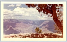 Vintage Photo Grand Canyon Arizona 1960's Found Art DST100 B picture