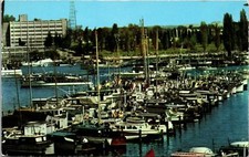 Seattle Yacht Harbor Lake Washington Postcard picture