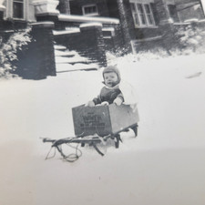 Smiling Boy in Valley California Prunes Box Sled Sledding 1940s Vintage Photo picture