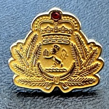 Vintage Gold Tone Maritime Crest Lapel Pin Crown Anchor Nautical picture
