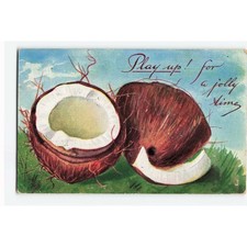 Vintage 1908 Coconut Play Up For A Jolly Time Postcard Star Series Bavaria VG picture
