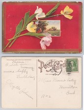1913 Birthday Postcard Tulips Farmland Indiana Rural Scene US 1c Stamp picture