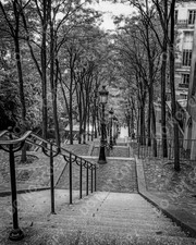 Montmartre Paris Steps Photo Rue Foyatier France Architectural Poster picture
