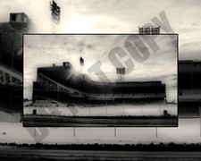 January 2009 Detroit Tiger Stadium Trumbull In Ruins 8x10 Photo picture
