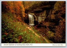 Brevard Area NC Visitors at Looking Glass Falls 4 x 6 Postcard picture
