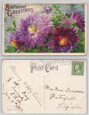 1912 Birthday Greetings Postcard Waterfall Virginia Chrysanthemum Flowers picture