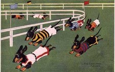 Dachshund Racing L - CUSTOM MATTED - Dog Art Print - German / NEW picture