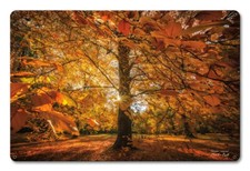 AUTUMN SCENE GOLDEN BROWN LEAF 18