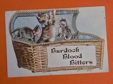 Antique Victorian Burdock Blood Bitters Trade Card Kittens Cats Basket Buffalo N picture