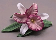 Vintage Iris Cattleya Orchid Lily Porcelain Pink White 1970s picture