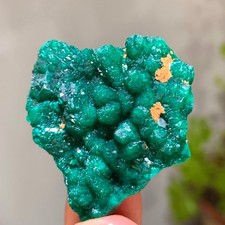 19G Natural green dioptase emerandine gemstone cluster mineral specimen picture